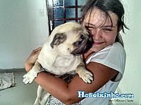 foto-pug