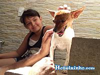 pinscher